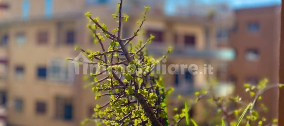 1 chambre Appartement à Rome, Italy No. 317545 24