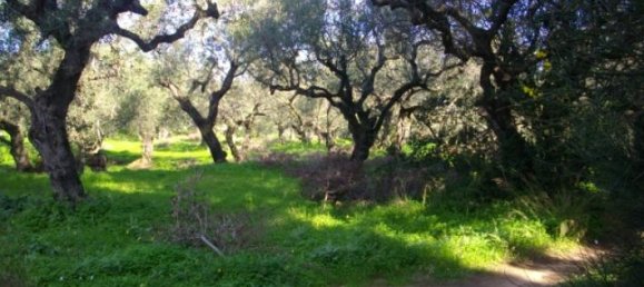 Hotel em Zakynthos, Greece N.º 708 8