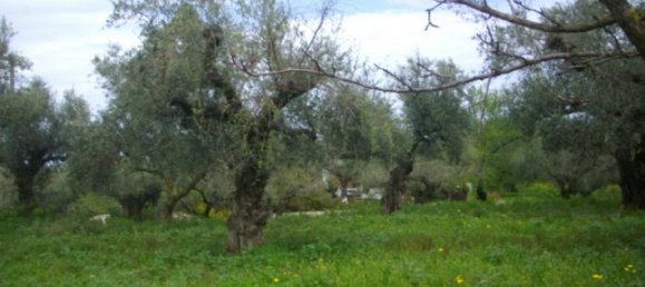 Hotel em Zakynthos, Greece N.º 708 9