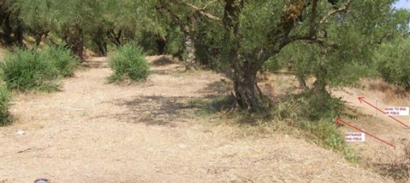 Hotel em Zakynthos, Greece N.º 708 4