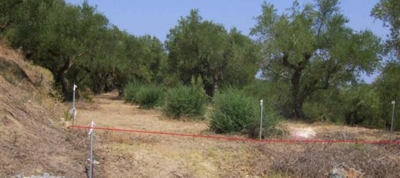 Hotel em Zakynthos, Greece N.º 708 6