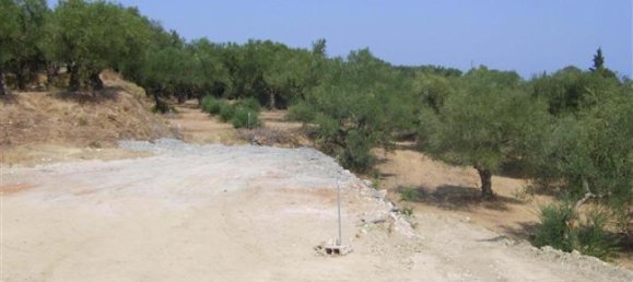 Hotel em Zakynthos, Greece N.º 708 3