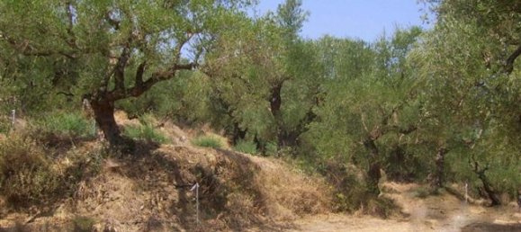 Hotel em Zakynthos, Greece N.º 708 5