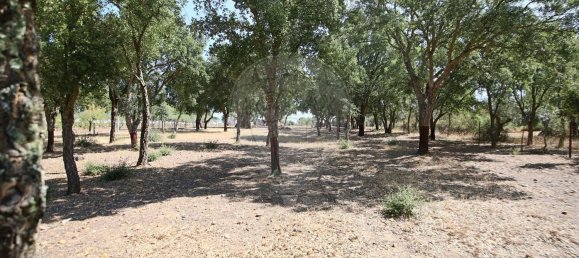 Casa de 4 dormitorios en Santa Margarida da Coutada, Portugal No. 18166 40