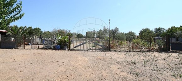 Casa de 4 dormitorios en Santa Margarida da Coutada, Portugal No. 18166 43