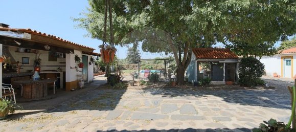 Casa de 4 dormitorios en Santa Margarida da Coutada, Portugal No. 18166 22