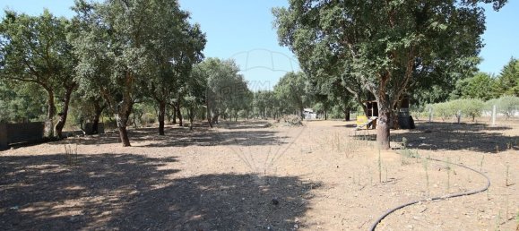 Casa de 4 dormitorios en Santa Margarida da Coutada, Portugal No. 18166 35