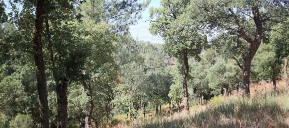 Casa de 4 dormitorios en Santa Margarida da Coutada, Portugal No. 18166 38