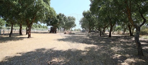Casa de 4 dormitorios en Santa Margarida da Coutada, Portugal No. 18166 41