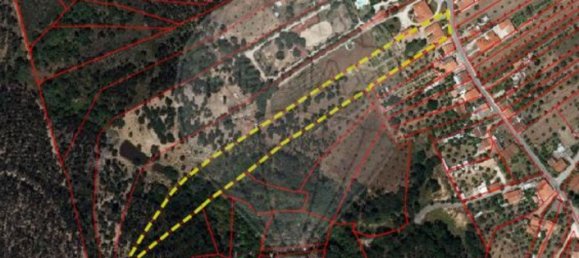 Casa de 4 dormitorios en Santa Margarida da Coutada, Portugal No. 18166 4