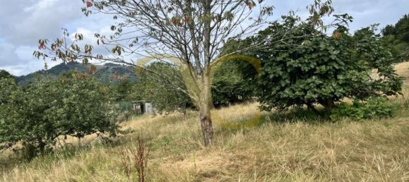 Casa T3 em Pilona, Spain N.º 179702 12