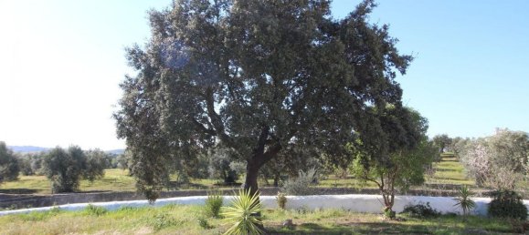 6 Schlafzimmer Haus in Alosno, Spain, Nr. 70268 36