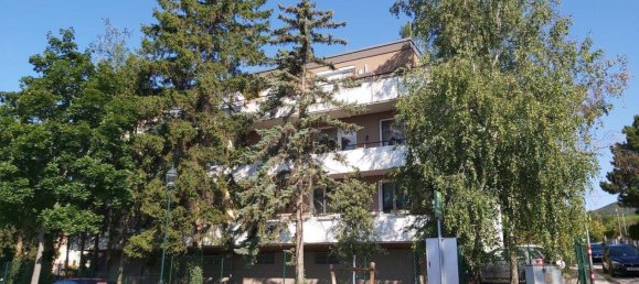 3 rooms Apartment in Baden, Austria No. 191424 2