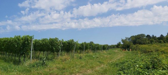 3 rooms Apartment in Baden, Austria No. 191424 13