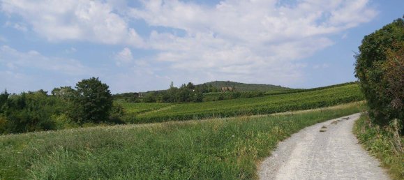 3 rooms Apartment in Baden, Austria No. 191424 14