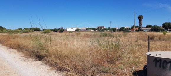 Земельный участок 7760м² в Вила Нова де Касела, Португалия № 58791 5