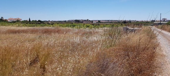 Земельный участок 7760м² в Вила Нова де Касела, Португалия № 58791 2