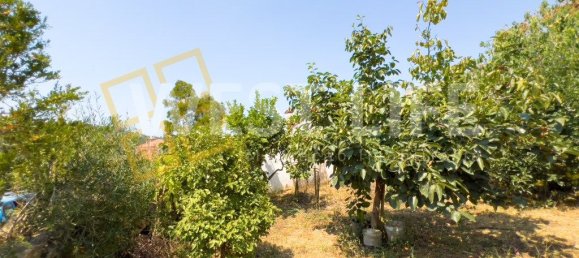 2 Schlafzimmer Haus in Ericeira, Portugal, Nr. 225382 38