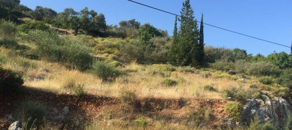 Hotel en Zakynthos, Greece No. 8547 3