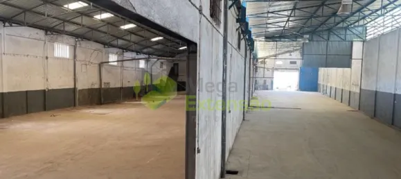 1995m² Warehouse in Santarem, Portugal No. 92336 23