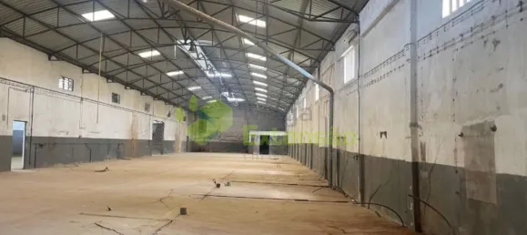1995m² Warehouse in Santarem, Portugal No. 92336 24
