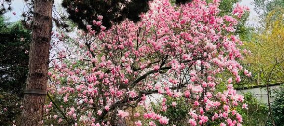 5 bedrooms House in Colombes, France No. 186162 19