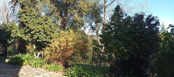 8 Schlafzimmer Haus in Portalegre, Portugal, Nr. 146360 8