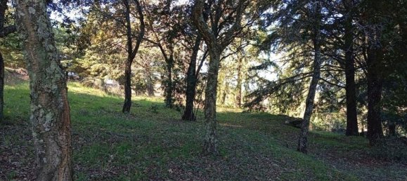 8 Schlafzimmer Haus in Portalegre, Portugal, Nr. 146360 16