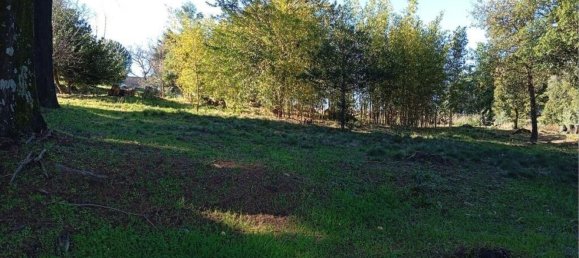 8 Schlafzimmer Haus in Portalegre, Portugal, Nr. 146360 14