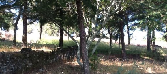 8 Schlafzimmer Haus in Portalegre, Portugal, Nr. 146360 9