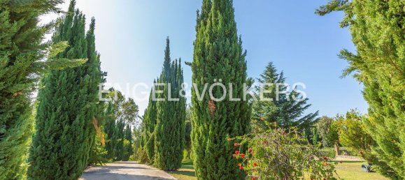 7 rooms Villa in Cerveteri, Italy No. 132358 25