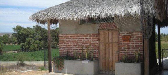 2 Schlafzimmer Haus in Baja California Sur, Mexico, Nr. 157131 2