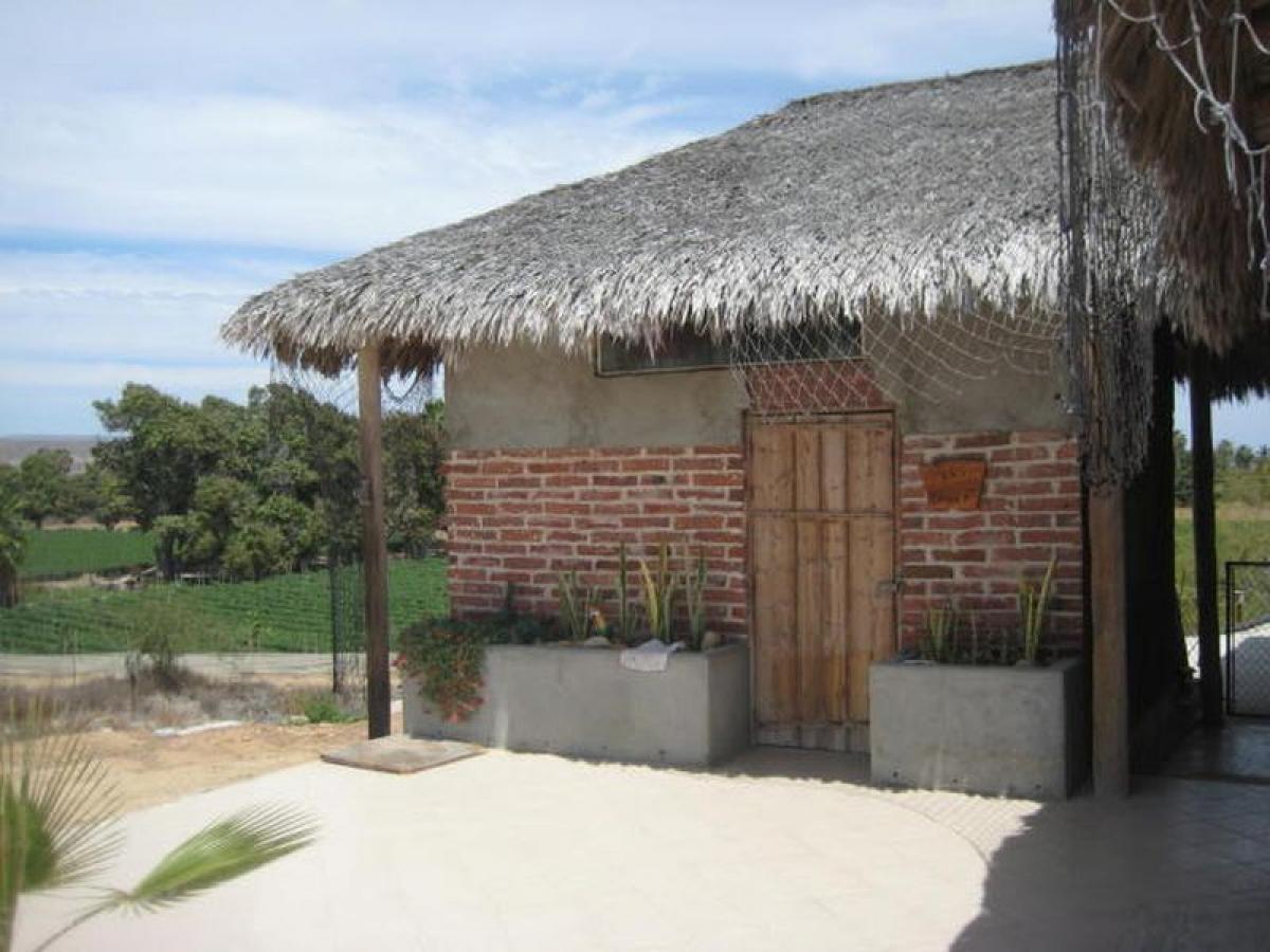 2 Schlafzimmer Haus in Baja California Sur, Mexico, Nr. 157131