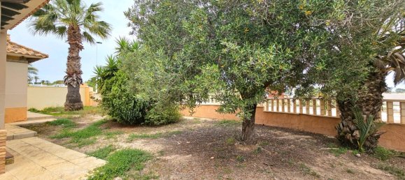 3 غرف نوم فيلا في La Marina, Spain رقم 288338 28