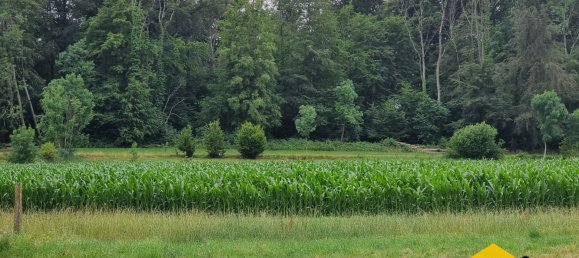  Land in Hirsingue, France No. 73851 10