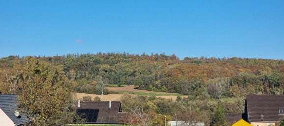  Land in Hirsingue, France No. 73851 6