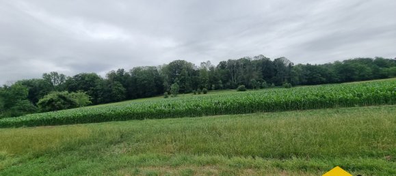  Land in Hirsingue, France No. 73851 11