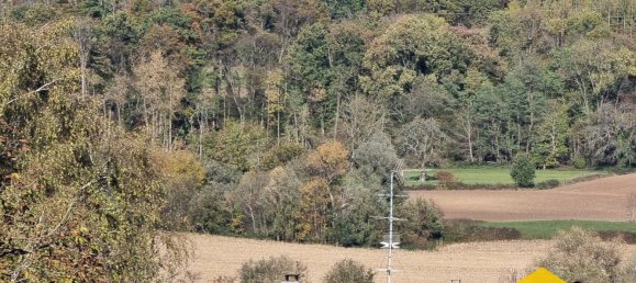  Land in Hirsingue, France No. 73851 7