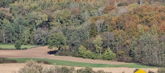  Land in Hirsingue, France No. 73851 8