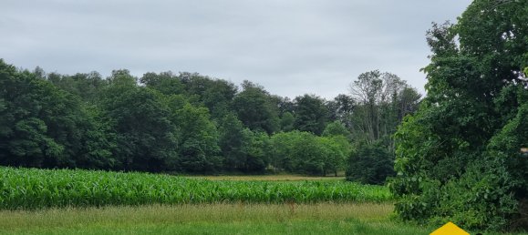  Land in Hirsingue, France No. 73851 13