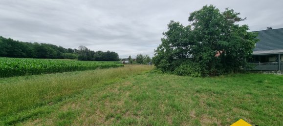  Land in Hirsingue, France No. 73851 12