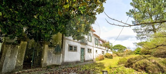 9 bedrooms House in Covelas, Portugal No. 34266 40