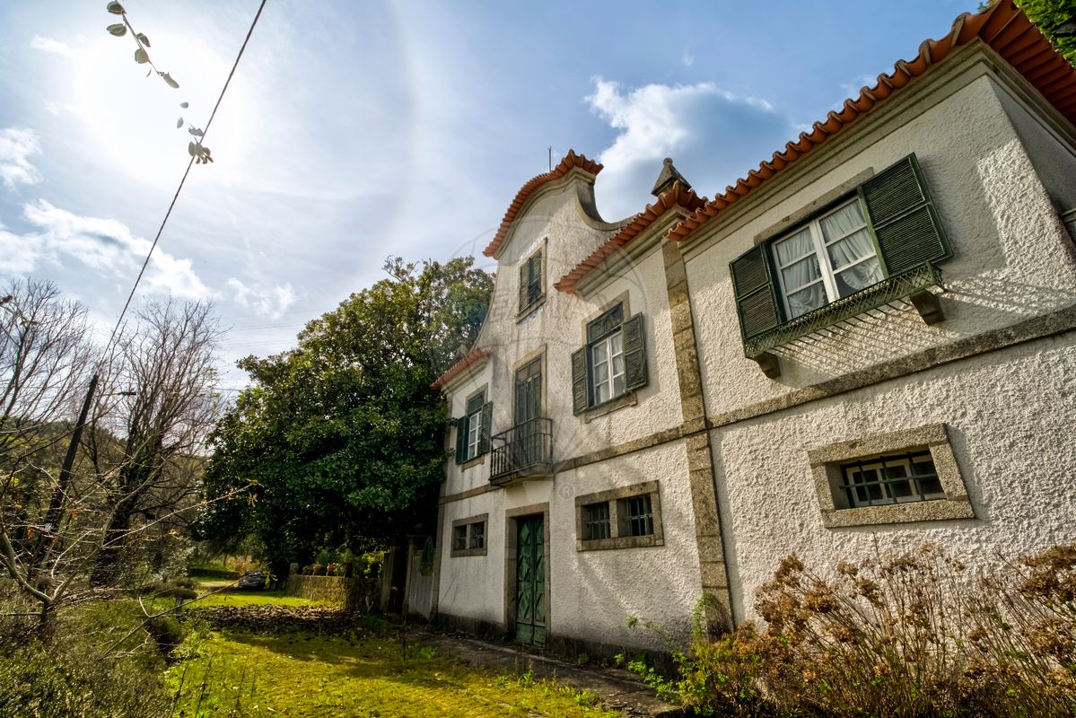 9 bedrooms House in Covelas, Portugal No. 34266