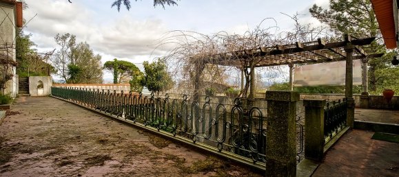 9 bedrooms House in Covelas, Portugal No. 34266 45