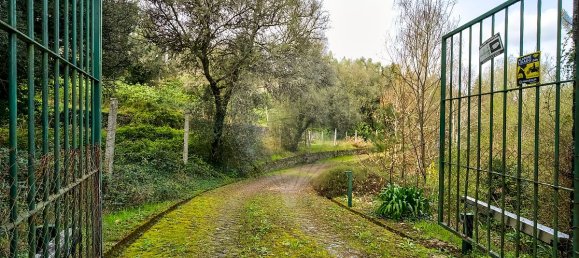 9 bedrooms House in Covelas, Portugal No. 34266 38