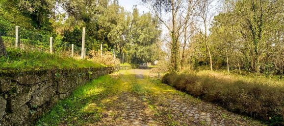 9 bedrooms House in Covelas, Portugal No. 34266 39