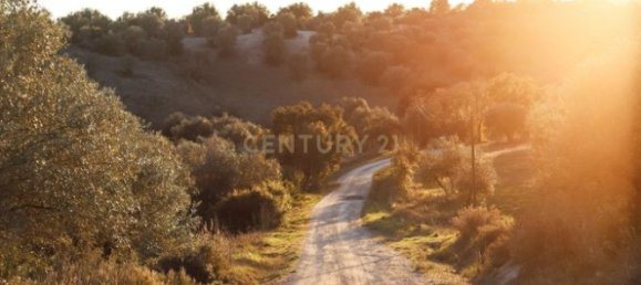 4 bedrooms House in Brotas, Portugal No. 125691 18