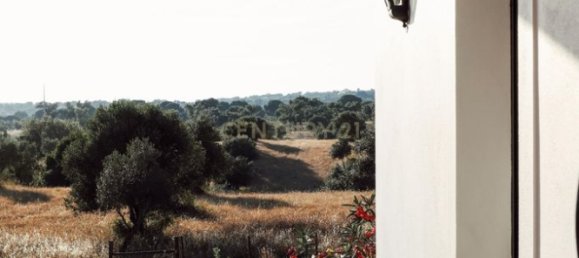 4 bedrooms House in Brotas, Portugal No. 125691 13