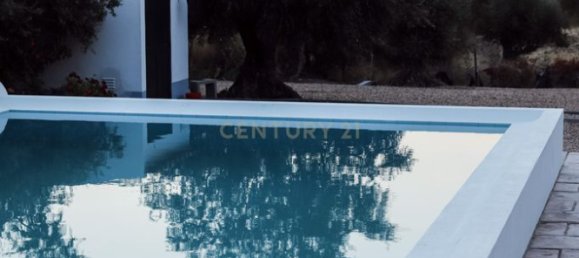 4 bedrooms House in Brotas, Portugal No. 125691 4