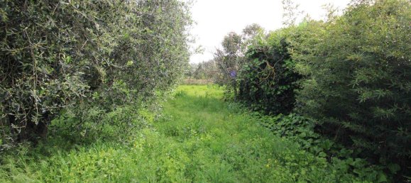 2 rooms House in Castagneto Carducci, Italy No. 75142 2